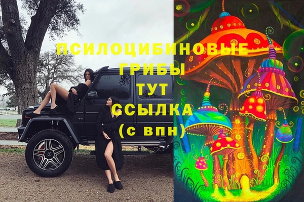 меф Нягань