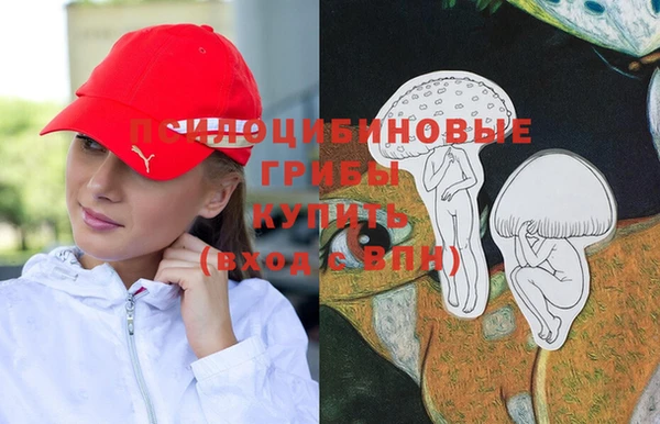 гидропоника Няндома