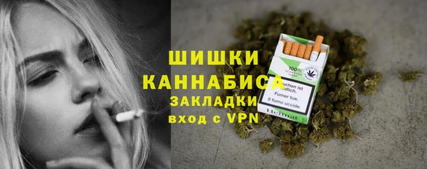 гидропоника Няндома